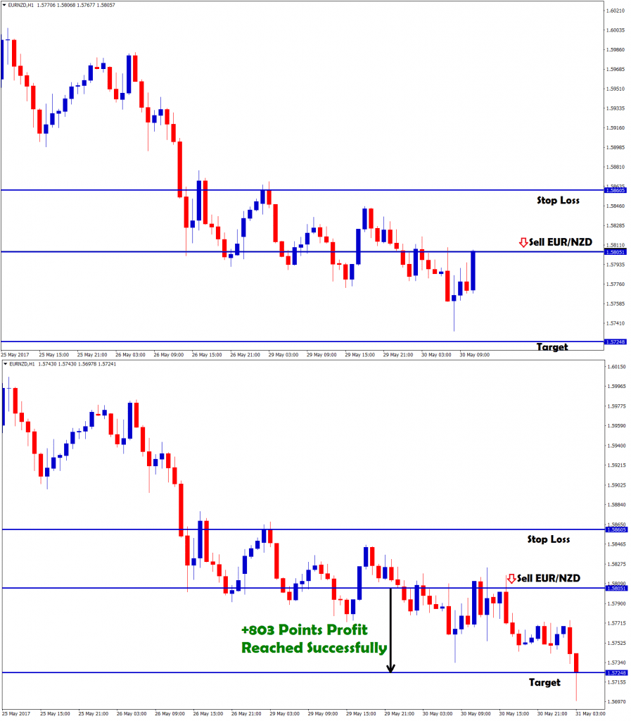 eur nzd forex trading strategy for sell signal hits 803 pips profit