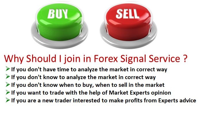 forex signals what is it