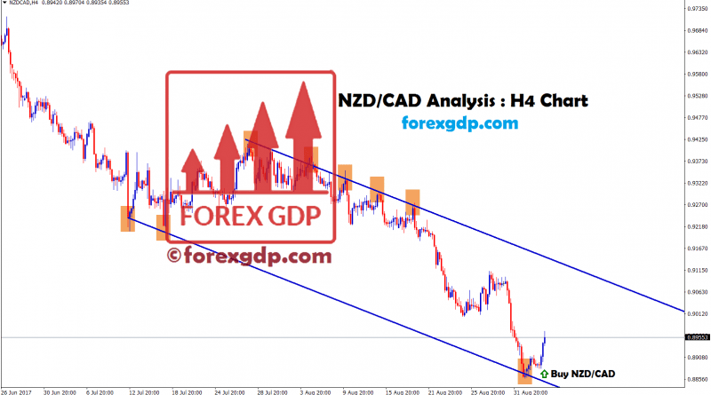 NZDCAD buy at the bottom of trend line support in four hr chart