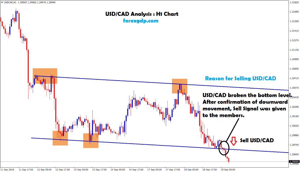 after confirmation of downward movement sell signal given in usd cad