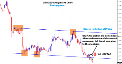 after confirmation of downward movement sell signal given in usd cad
