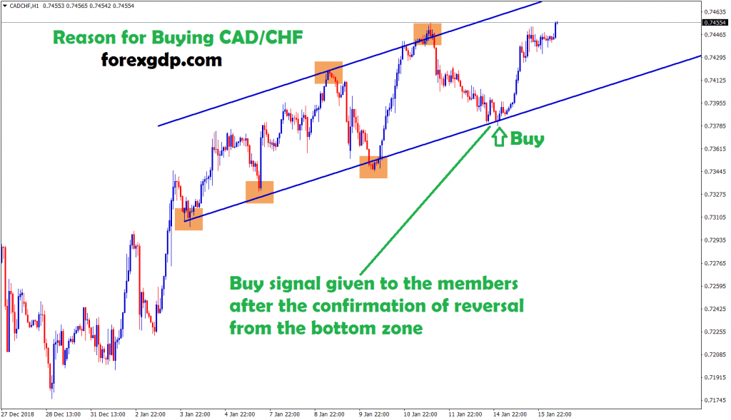 reversal confirmed ,buy signal given
