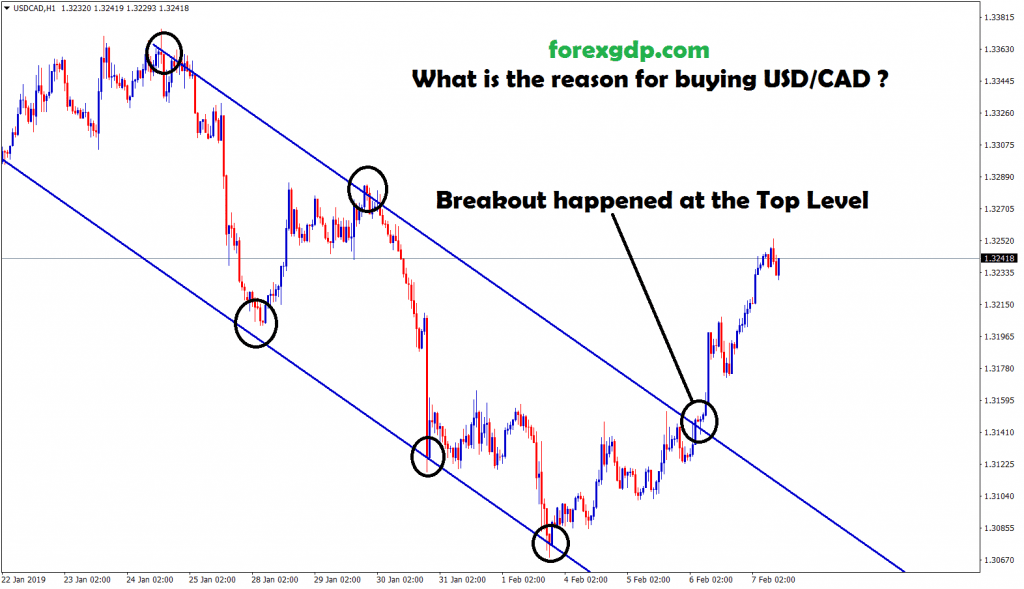 breakout happened at the top level in usd cad
