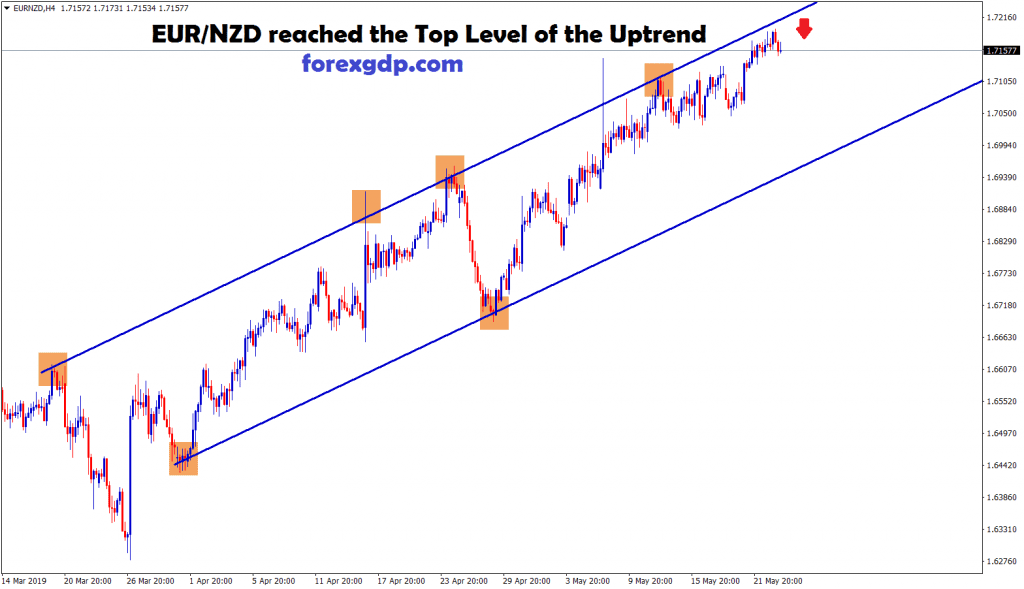 eur/nzd reached the top level of the uptrend