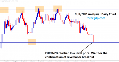 eur nzd reached the low level,waiting for breakout or reversal