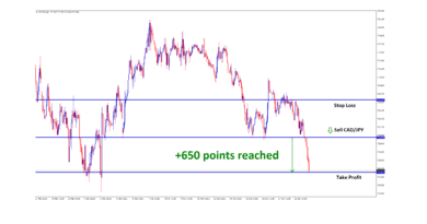 650 pips tp in cadjpy trade