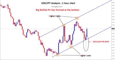 Bullish Pin Bar shows reversal in forex usdjpy 1 hour chart