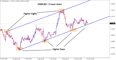 USDCAD HIGHER LOW reach