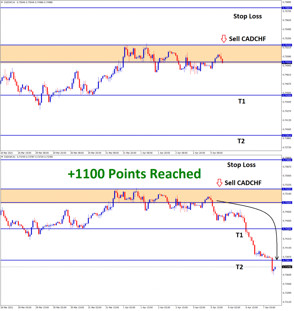 cadchf reached 1100 points profit in sell trade