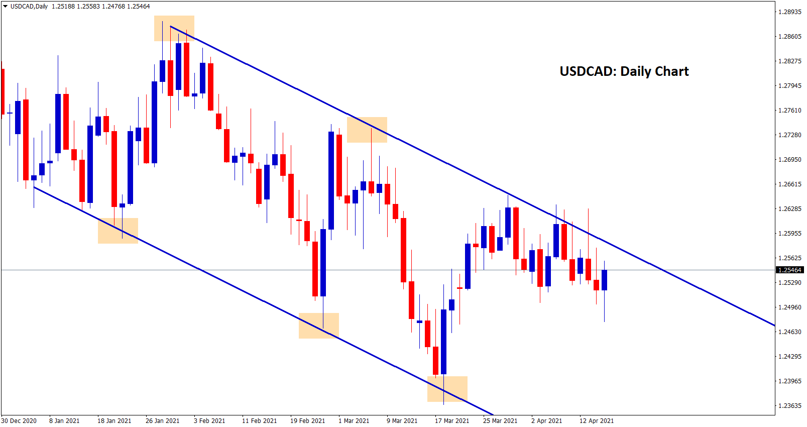 usdcad moving in downtrend daily chart