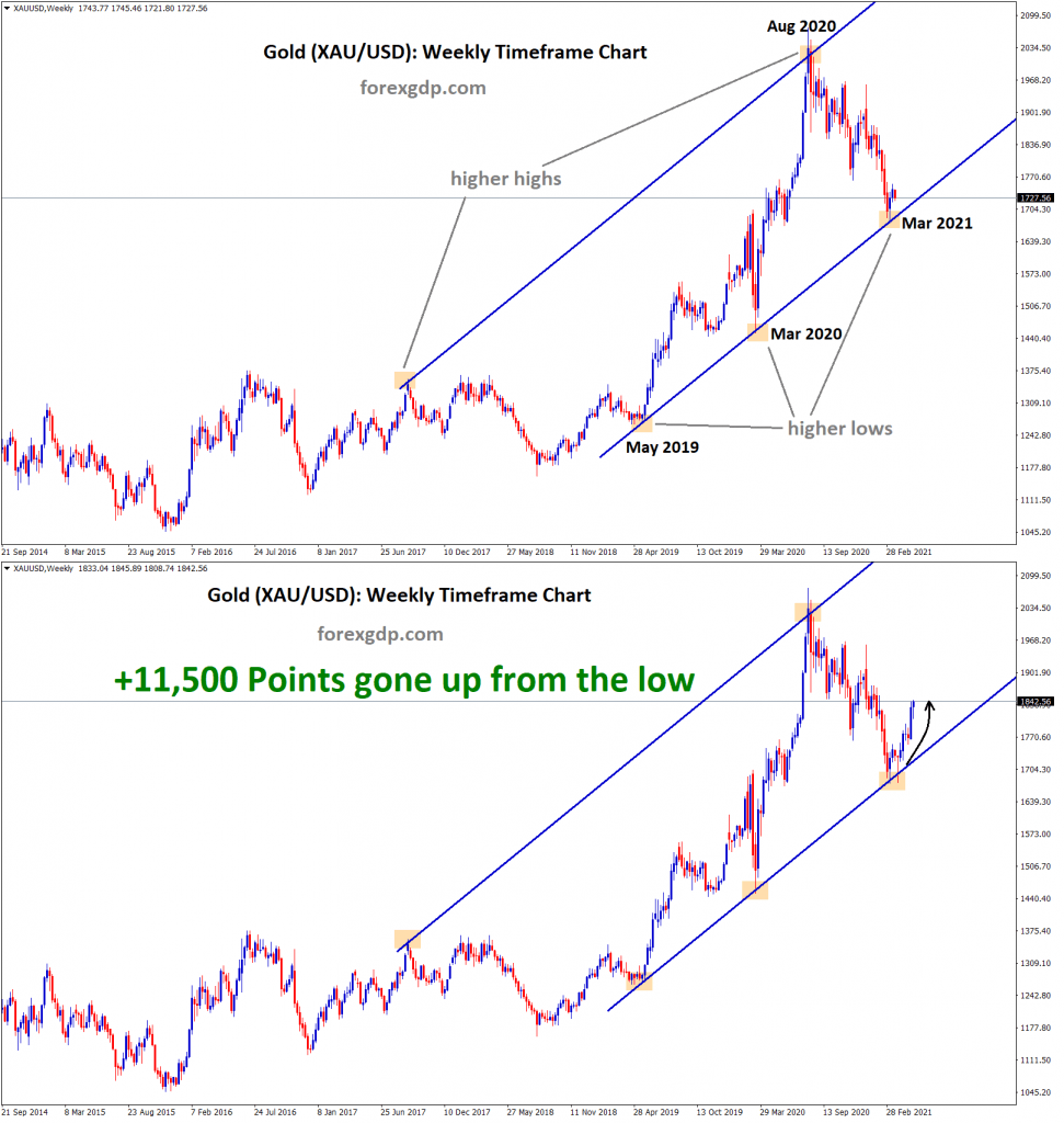 11500 points gold goine up from the higher low level of uptrend line