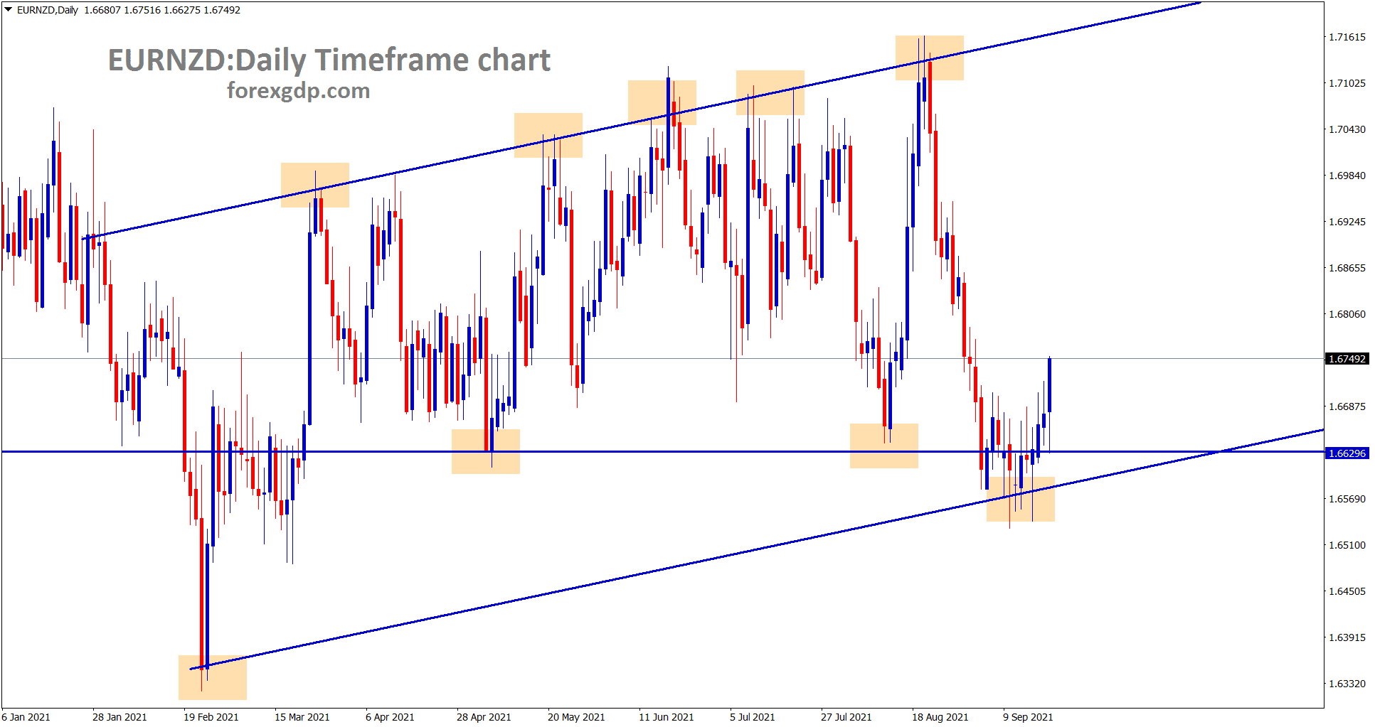 EURNZD is moving between the higher low ranges in the daily timeframe