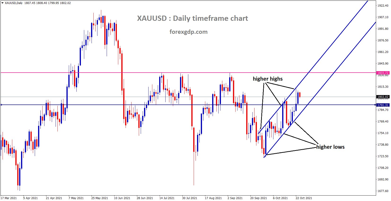 XAUUSD Gold price moving in an Ascending channel and price standing at higher high area.