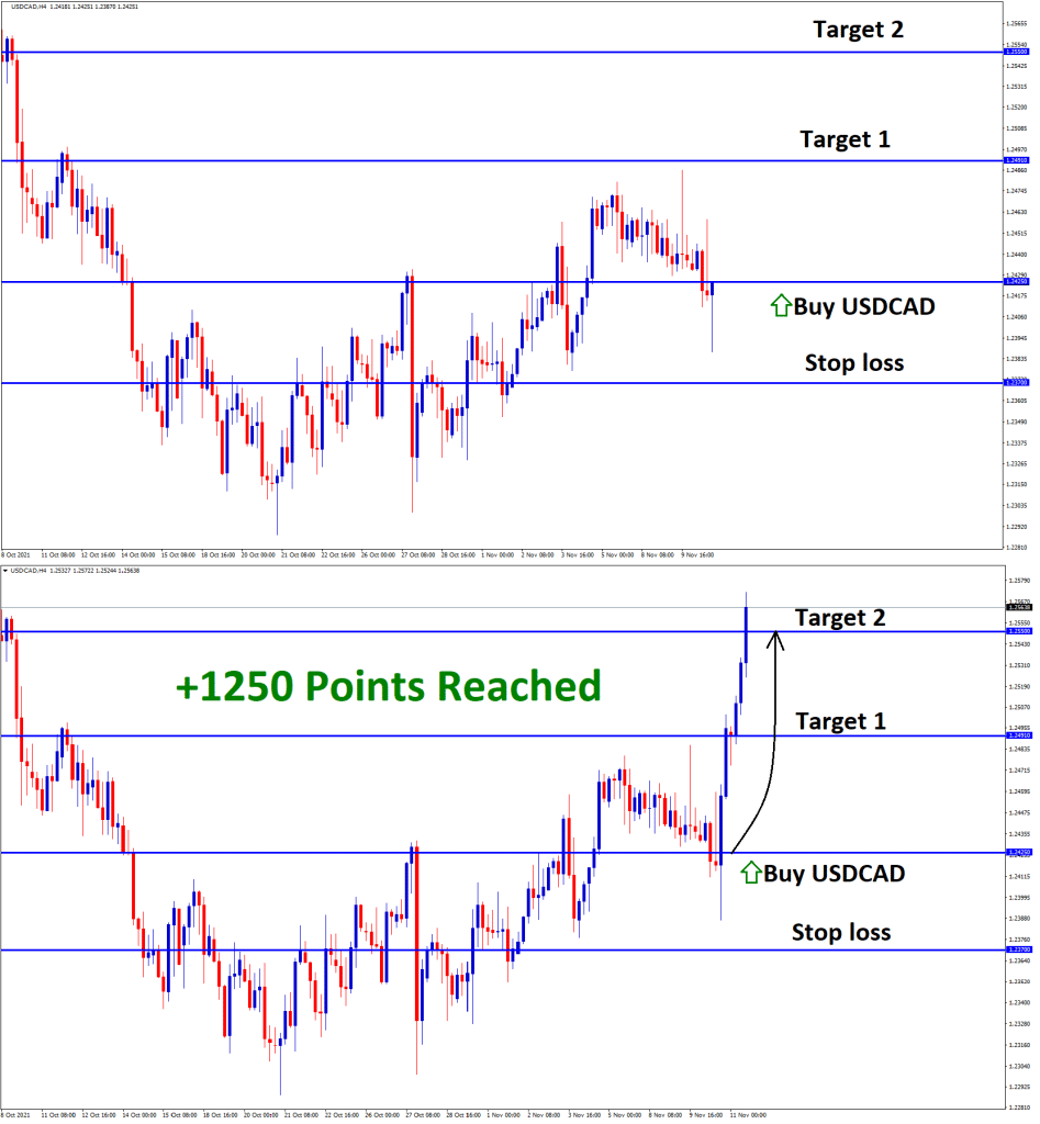 USDCAD T2 on Nov11 g on Nov08 1250 Points