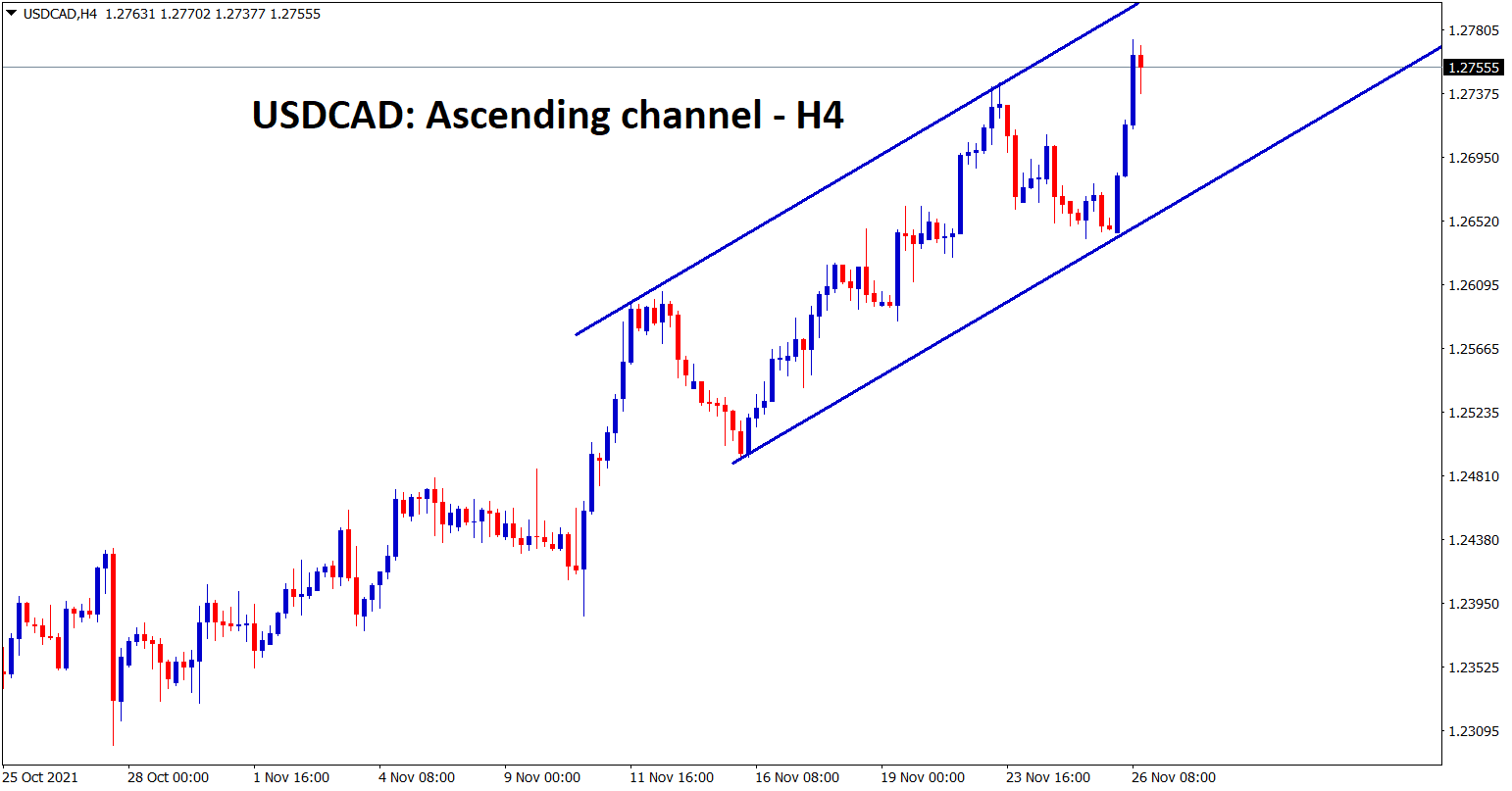 USDCAD is moving in a strong uptrend crude oil price leads to CAD weakness