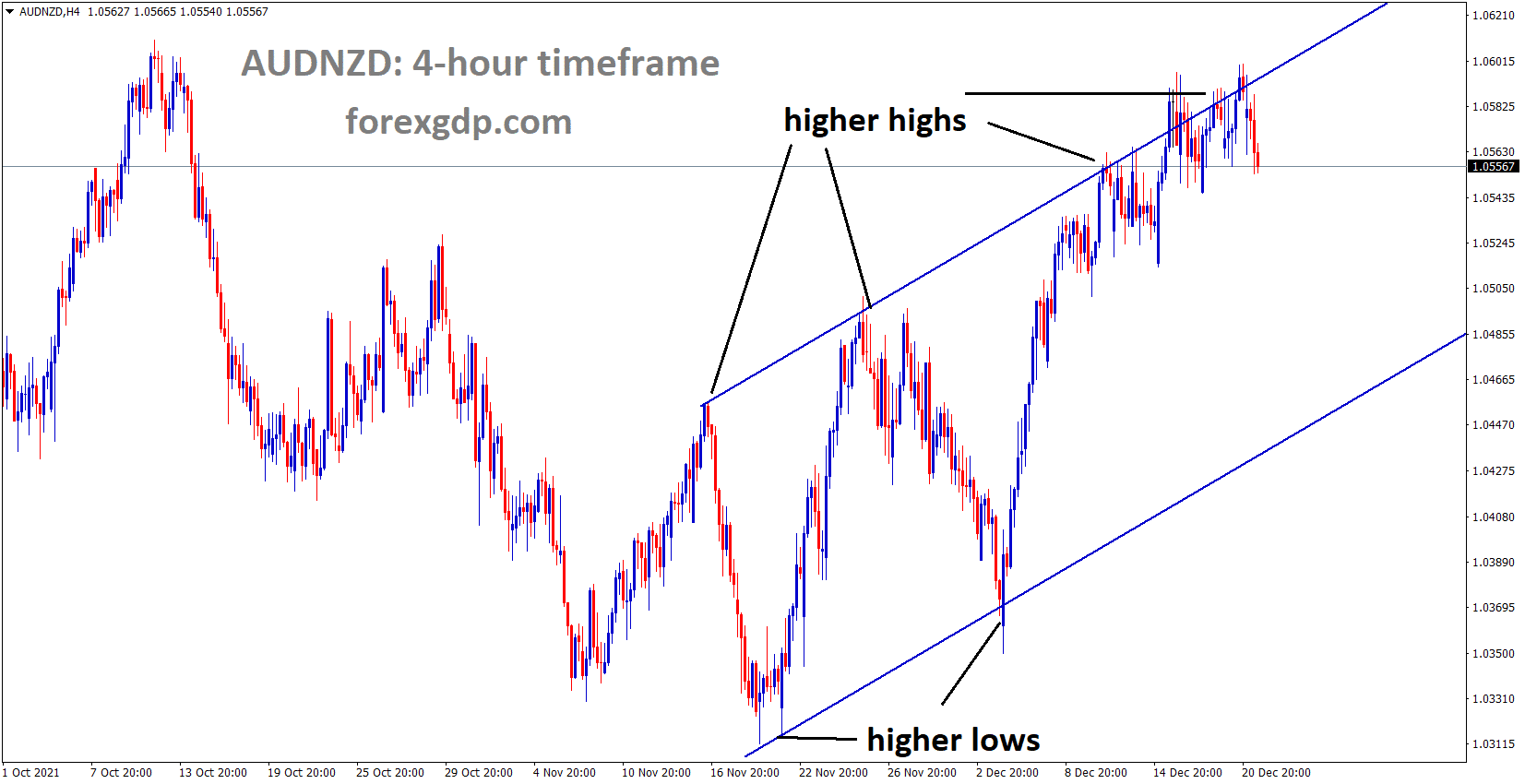 AUDNZD is moving in an ascending channel and the market fell from the higher high area of the channel