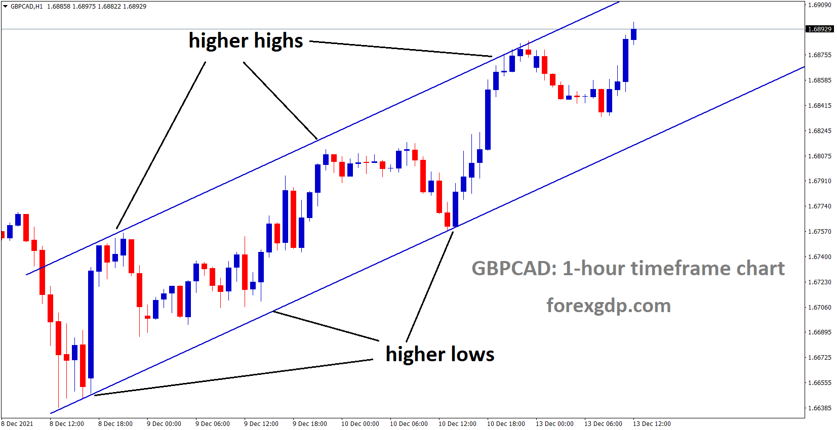 GBPCAD is moving in an Ascending channel and the market has rebounded and moving in the higher high area.