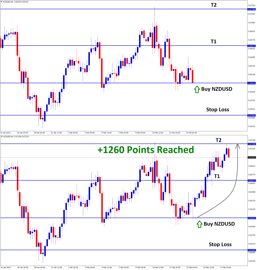 NZDUSD T2 reached 1260 points profit