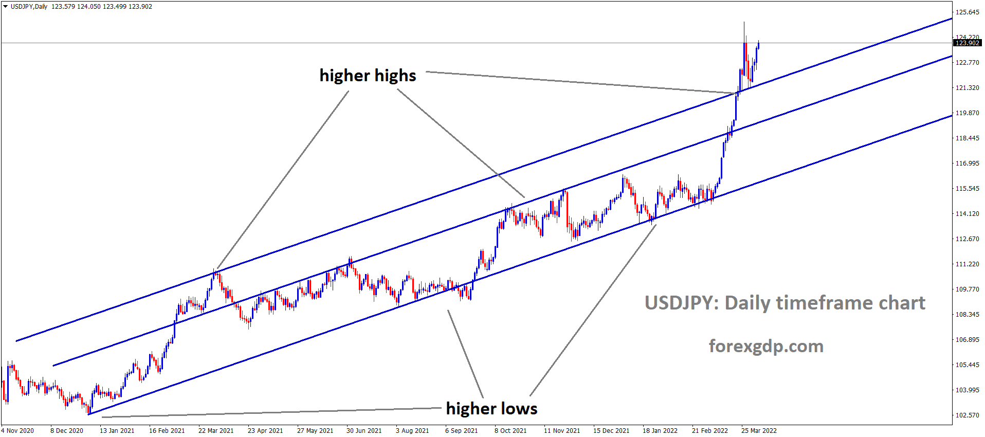USDJPY Daily Time Frame Market is moving in an Ascending channel and Market has rebounded from the higher low area of the Extended Ascending channel line.