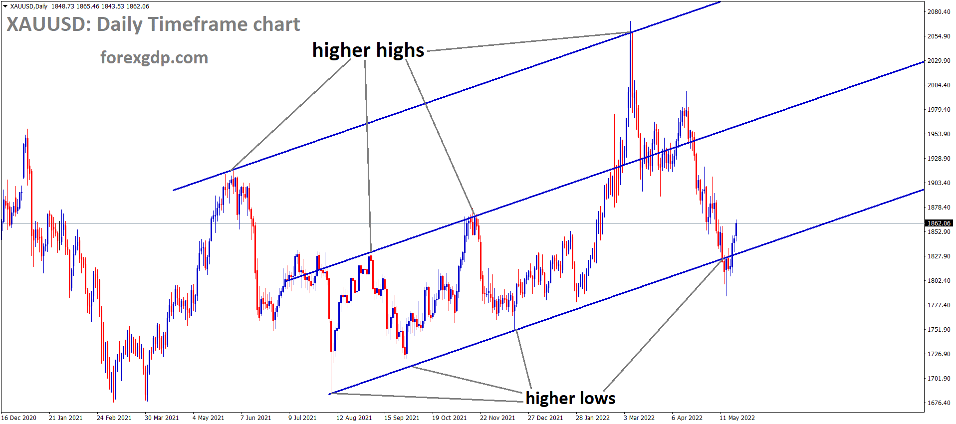 XAUUSD Daily Time Frame Analysis Market is moving in an Ascending channel and The market has rebounded from the higher low area of the channel