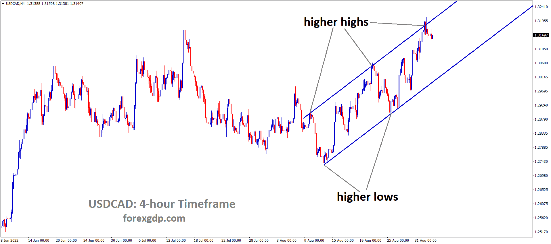 USDCAD is moving in an Ascending channel and the market has fallen from the higher high area of the channel