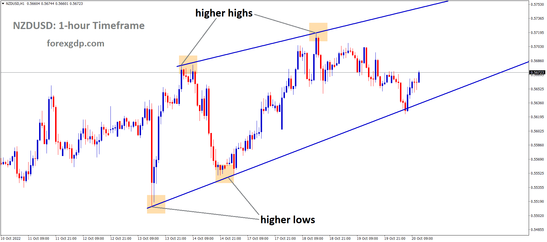 NZDUSD is moving in the Rising wedge pattern and the market has rebounded from the higher low area of the pattern