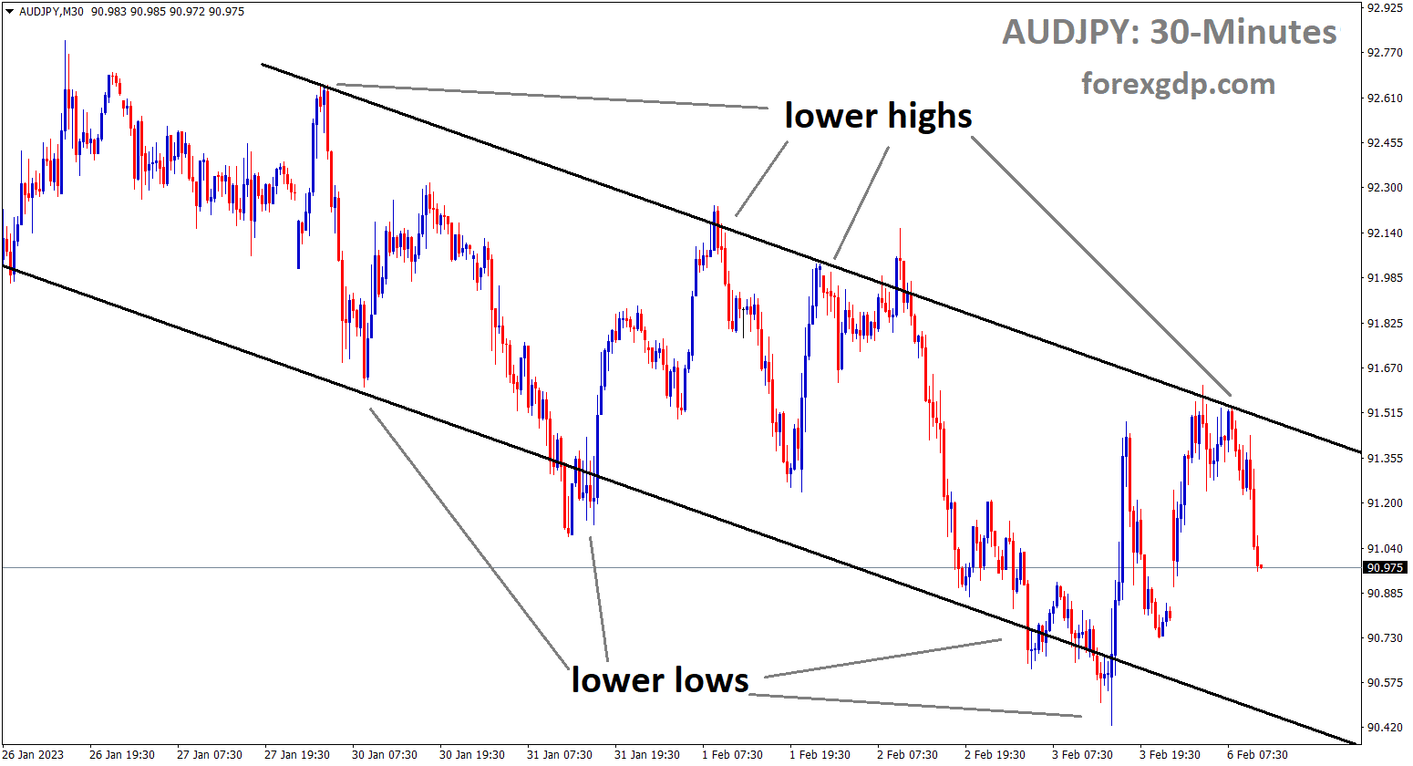 AUDJPY is moving in a Descending channel and the market has fallen from the lower high area of the channel