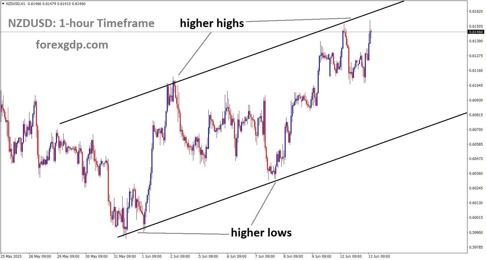 NZDUSD is moving in an Ascending channel and the market has reached the higher high area of the channel