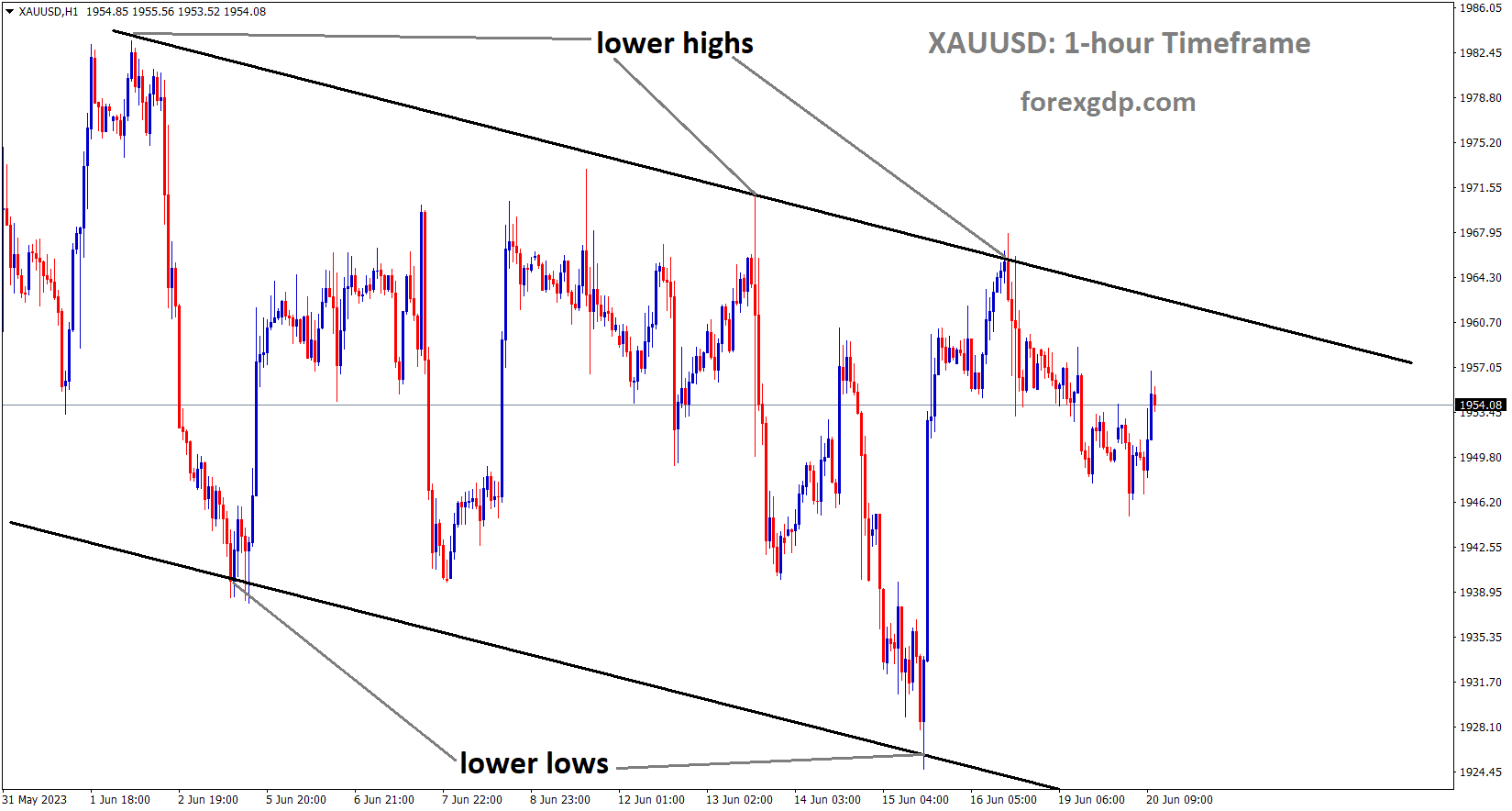 XAUUSD Gold Price is moving in an Ascending channel and the market has fallen from the lower high area of the channel