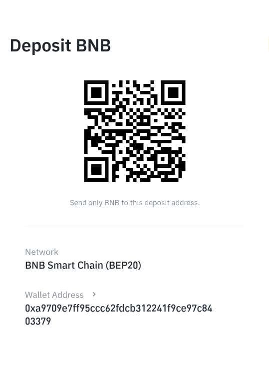BNB (BEP 20 address)