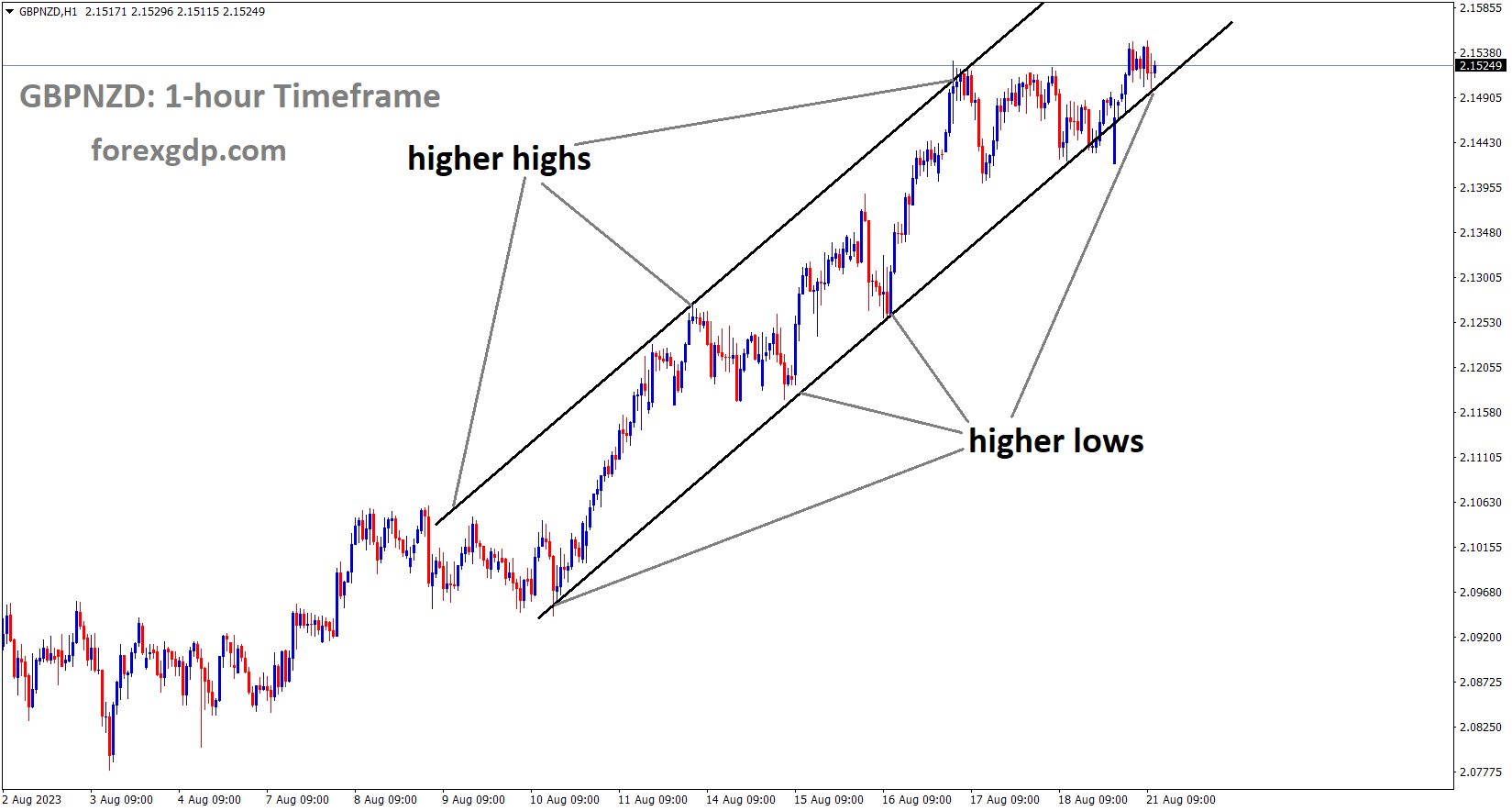 GBPNZD is moving in an Ascending channel and the market has reached the higher high area of the channel