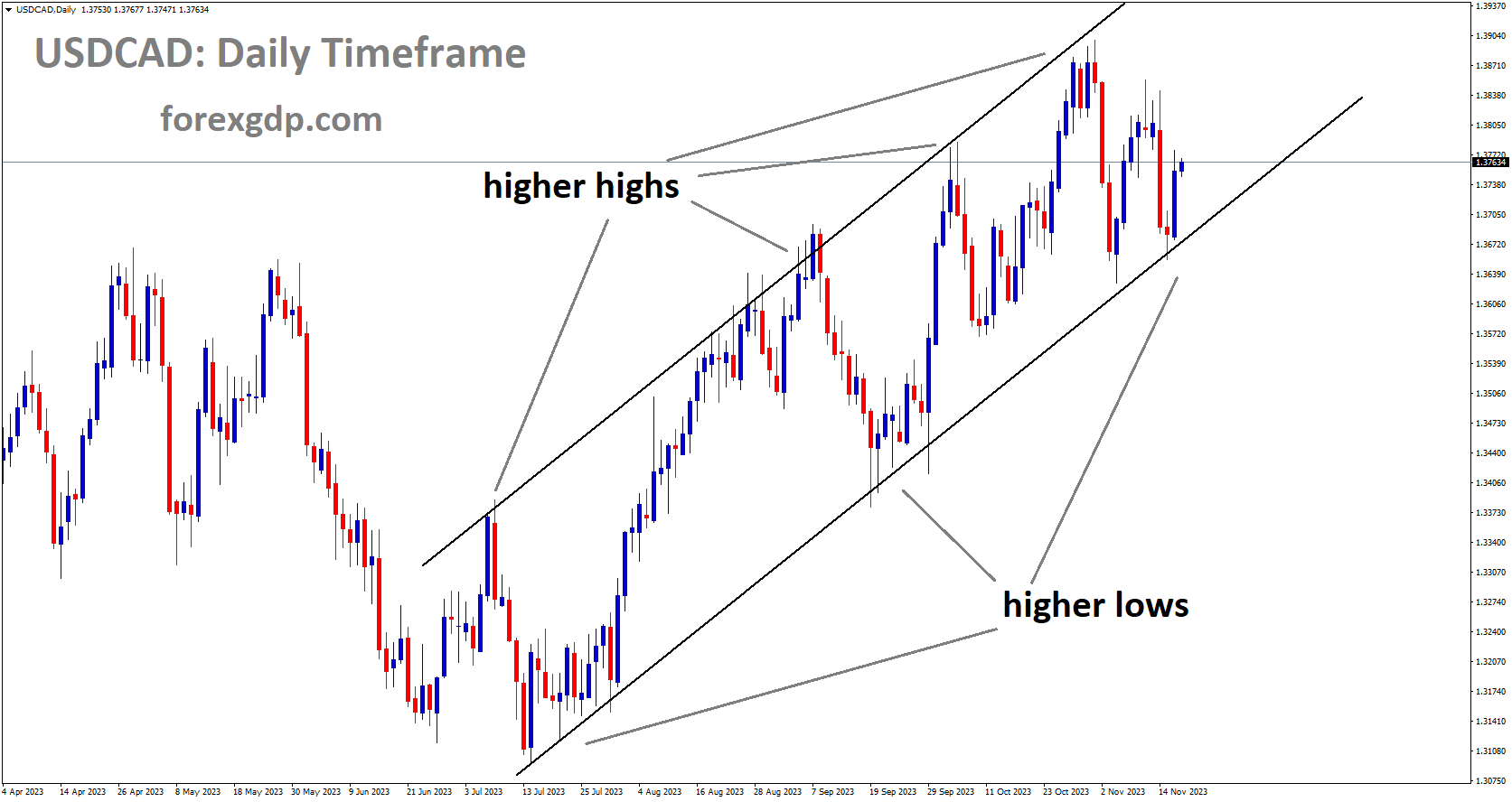 USDCAD is moving in a ascending channel and the maket has reached higher low area of the channel