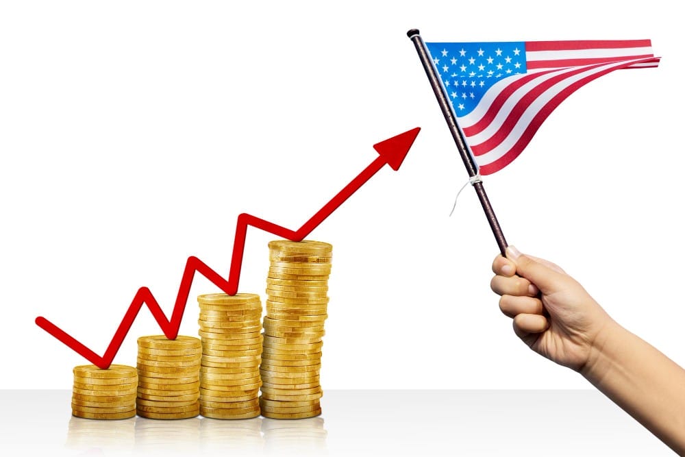 American flag near growth