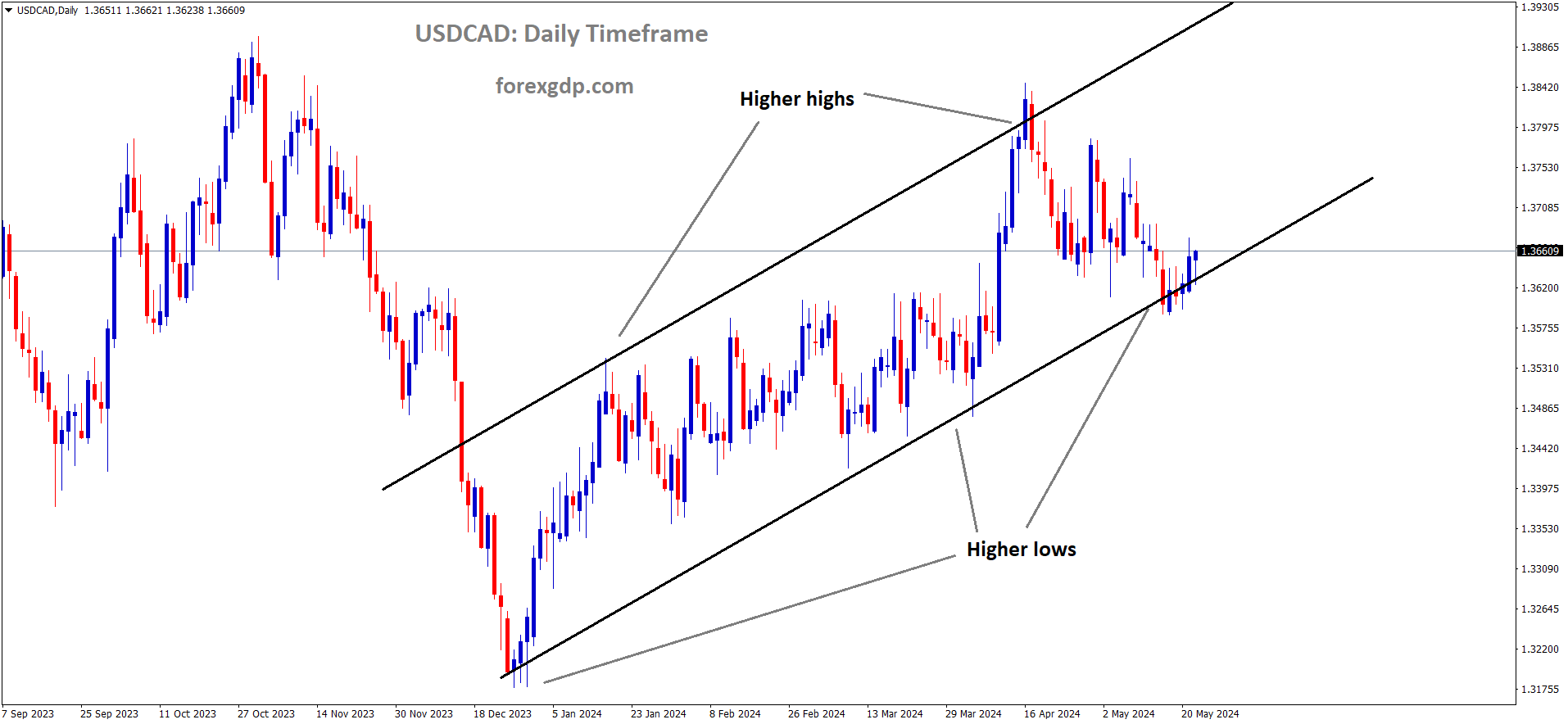 USDCAD is moving in an Ascending channel and the market has rebounded from the higher low area of the channel