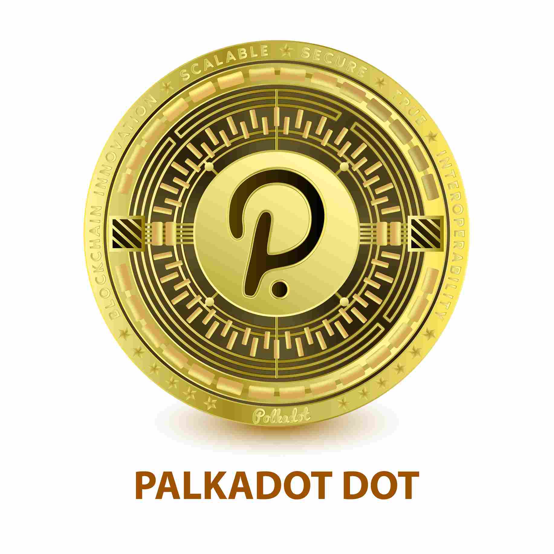 polkadot coin