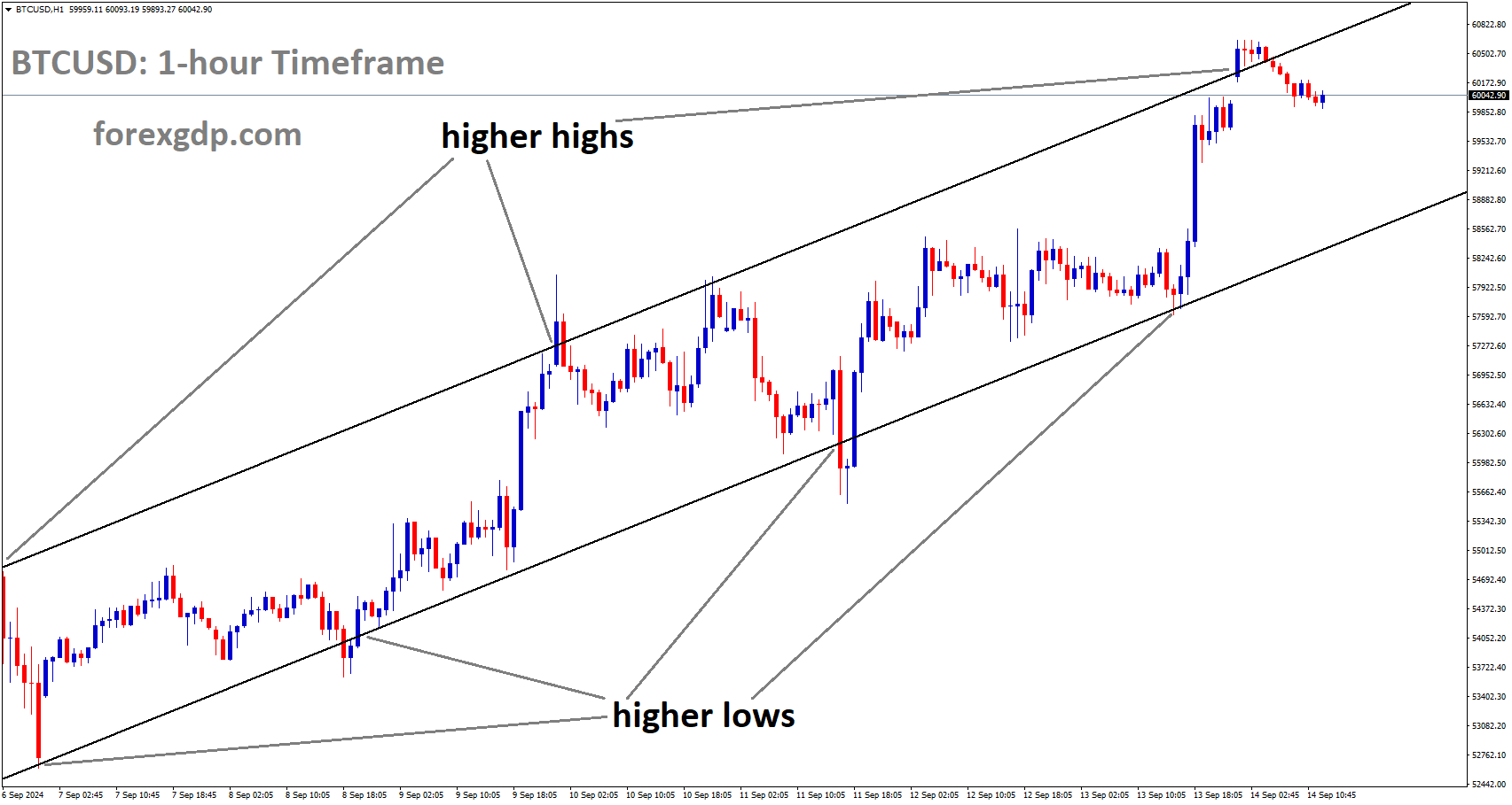 BTCUSD is moving in an Ascending channel, and the market has fallen from the higher high area of the channel