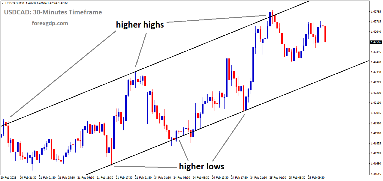 USDCAD is moving in an Ascending channel and the market has fallen from the higher high area of the channel