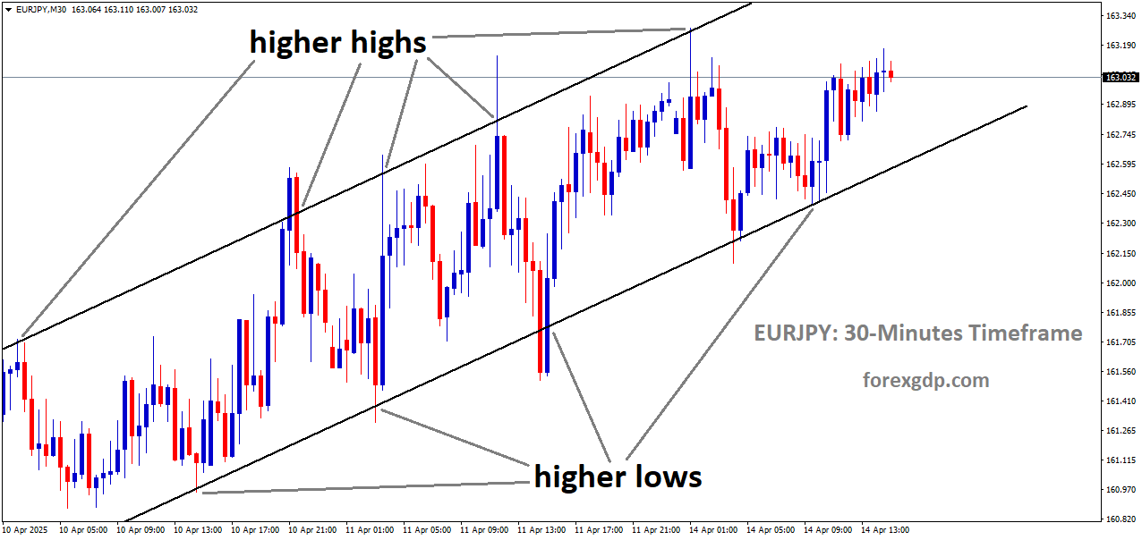 EURJPY is moving in an uptrend channel, and the market has rebounded from the higher low area of the channel