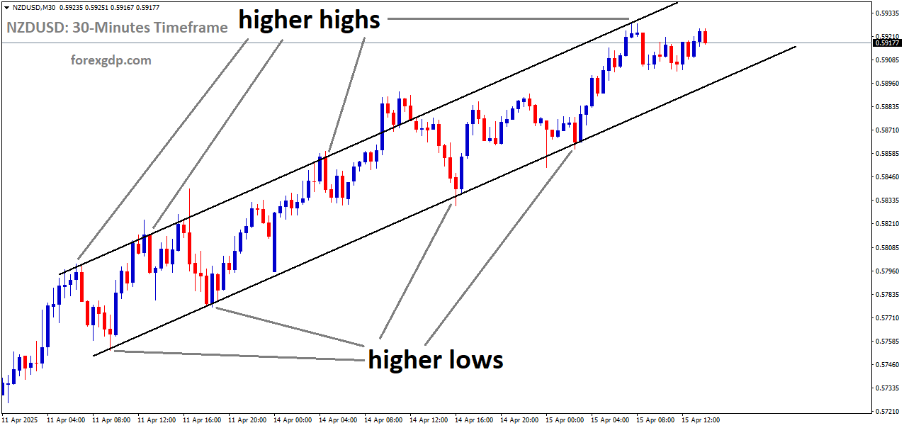 NZDUSD is moving in an uptrend channel, and the market has fallen from the higher high area of the channel
