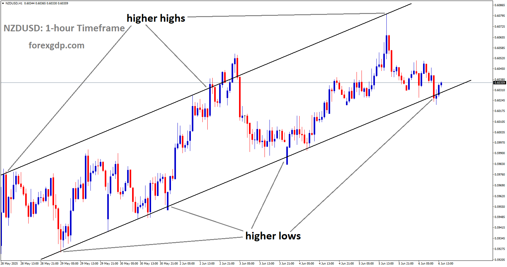 NZDUSD is moving in an uptrend channel, and the market has reached the higher low area of the channel