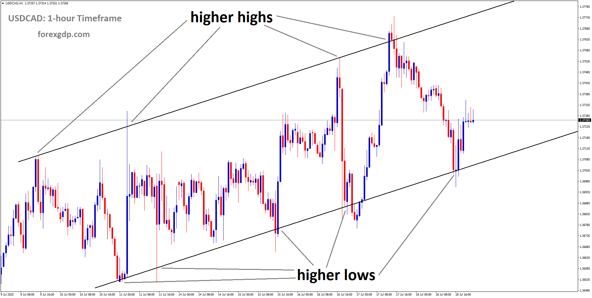 USDCAD is moving in an Ascending channel, and the market has rebounded from the higher low area of the channel