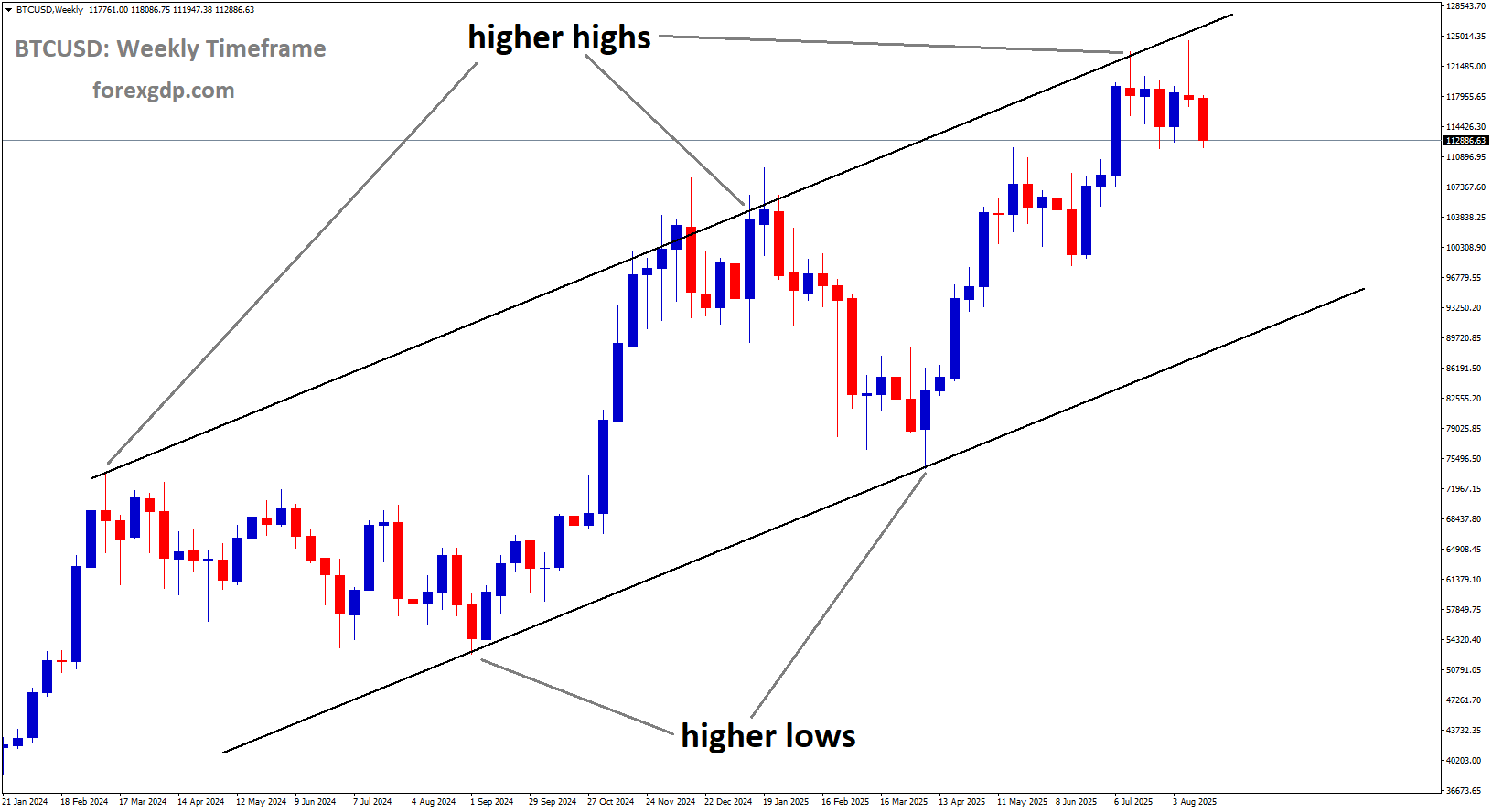 BTCUSD is moving in an uptrend channel, and the market has fallen from the higher high area of the channel