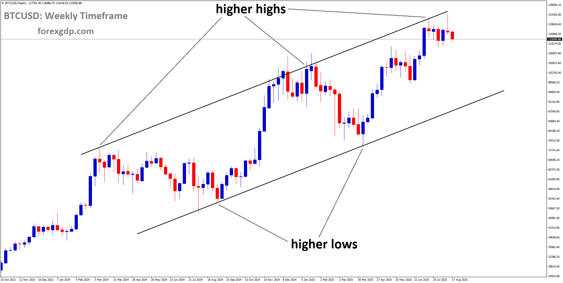 BTCUSD is moving in an uptrend channel, and the market has fallen from the higher high area of the channel