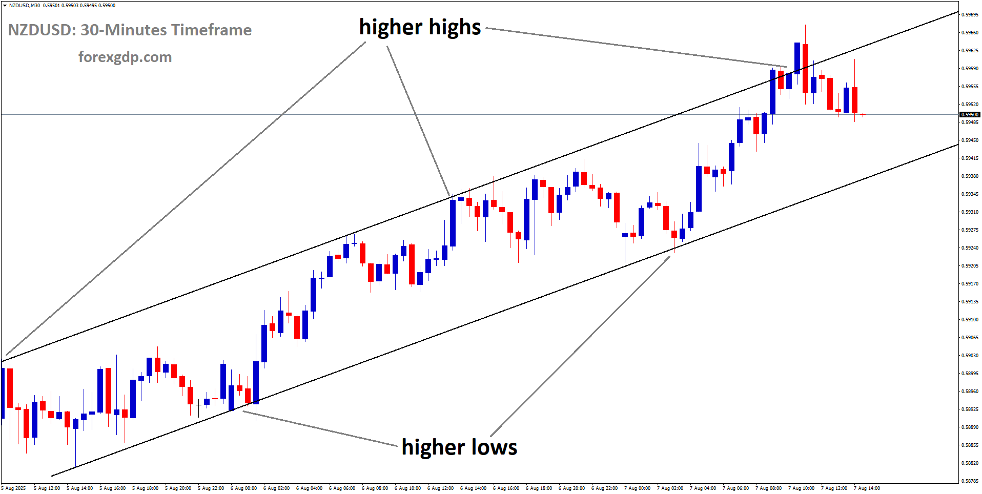 NZDUSD is moving in an uptrend channel, and the market has fallen from the higher high area of the channel