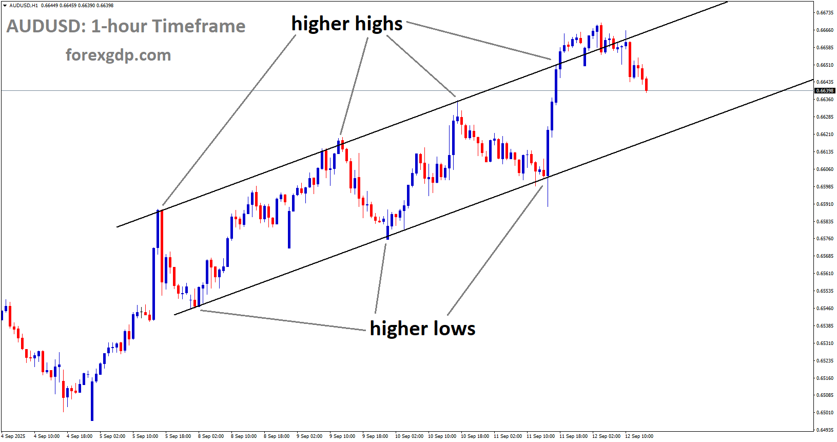 AUDUSD is moving in an uptrend channel, and the market has fallen from the higher high area of the channel