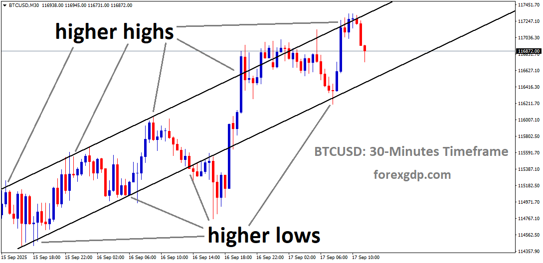 BTCUSD is moving in an uptrend channel, and the market has fallen from the higher high area of the channel