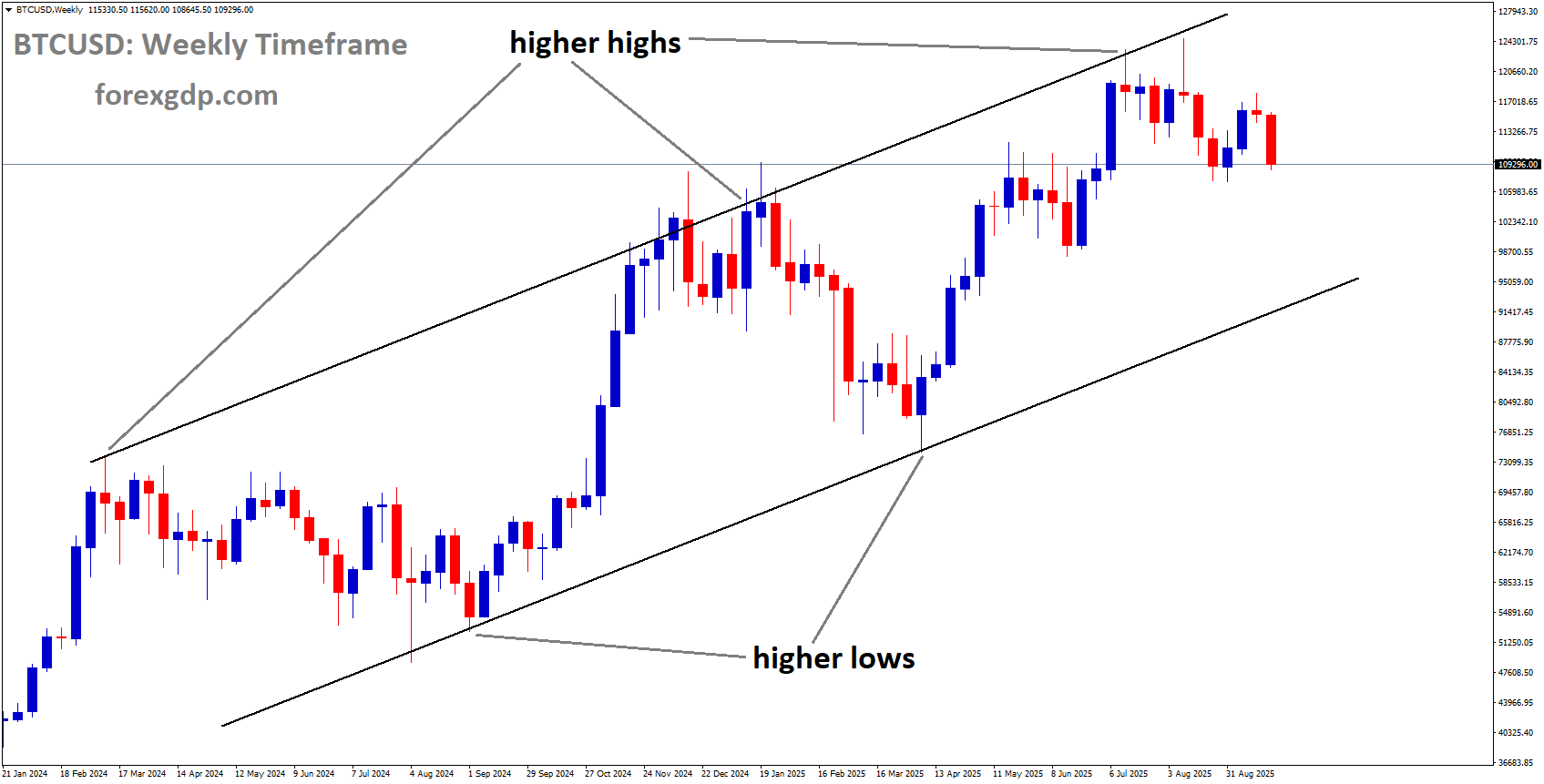 BTCUSD is moving in an uptrend channel, and the market has fallen from the higher high area of the channel BTCUSD is moving in an uptrend channel, and the market has fallen from the higher high area of the channel