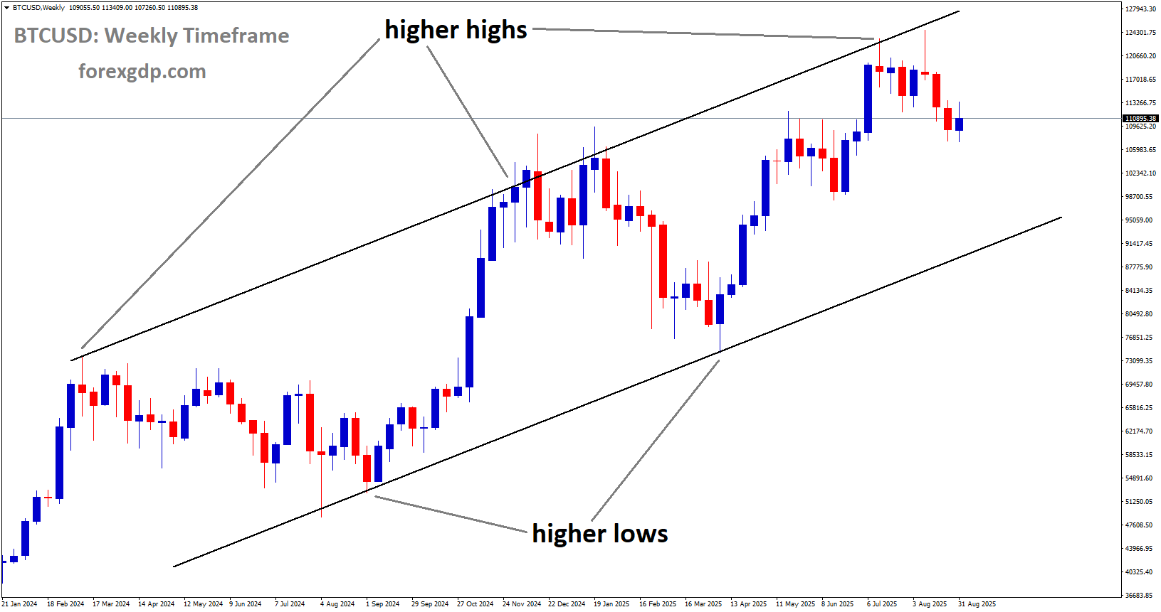 BTCUSD is moving in an uptrend channel, and the market has fallen from the higher high area of the channel