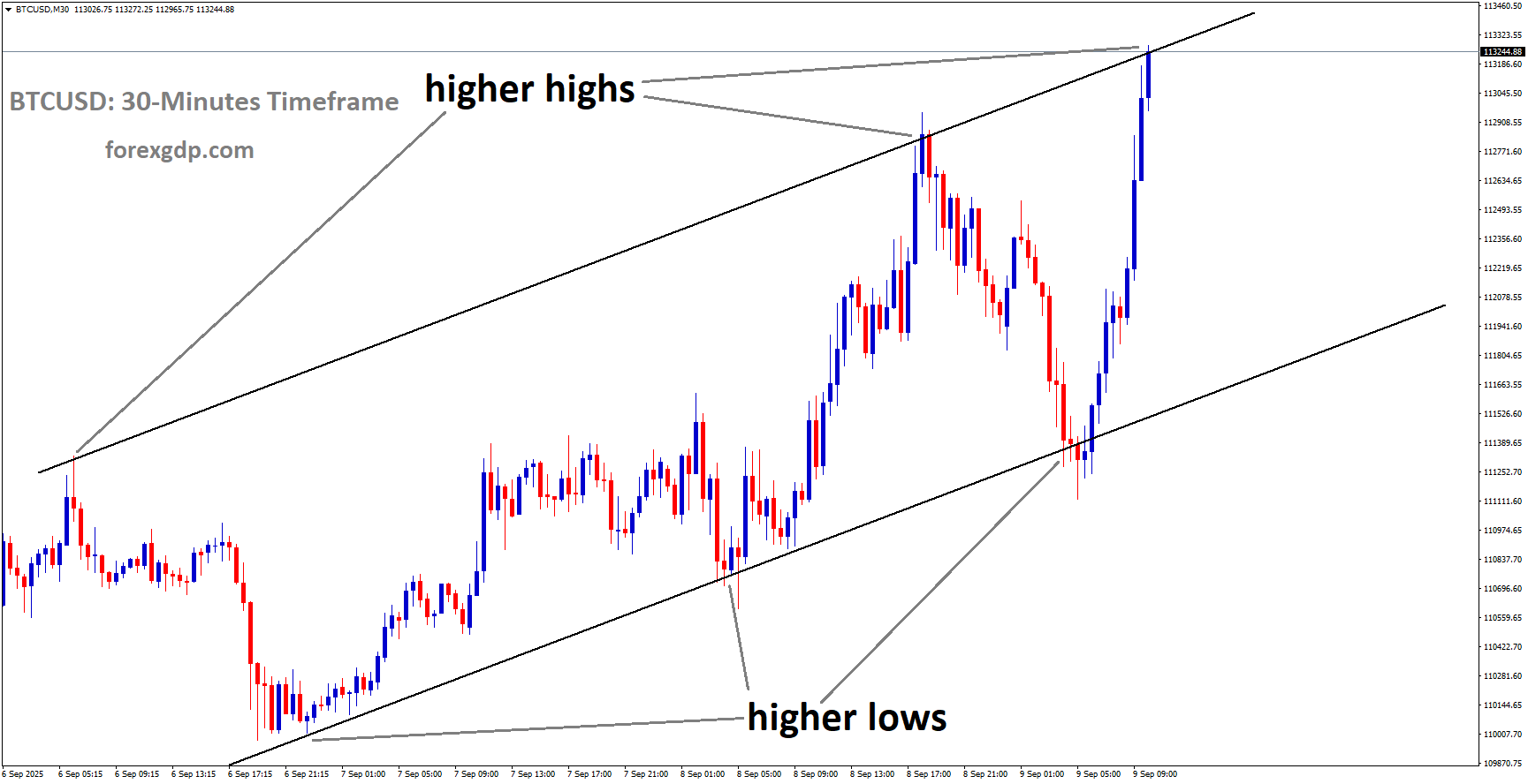 BTCUSD is moving in an uptrend channel, and the market has reached a higher high area of the channel