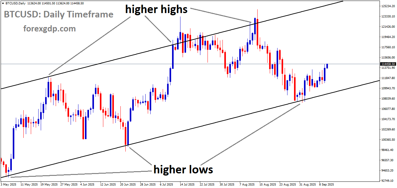 BTCUSD is moving in an uptrend channel, and the market has rebounded from the higher low area of the channel